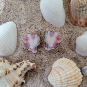 simpukka mini Simpukka mini